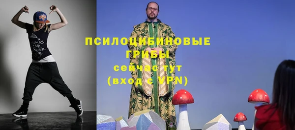 наркотики Каменка