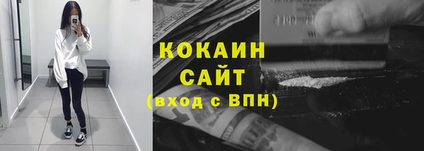 стаф Каменногорск
