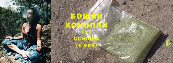 дурь Инсар