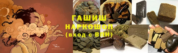 стаф Каменногорск