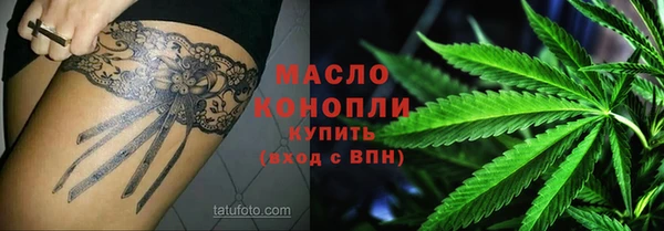 стаф Каменногорск